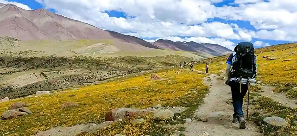 Ladakh Trekking Tour